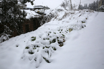 美丽的雪景