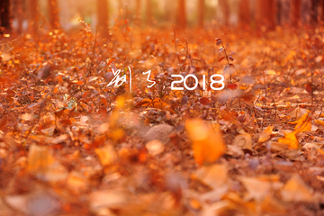 别了2018