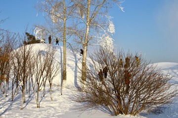 赏雪