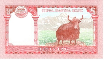 尼泊尔纸币