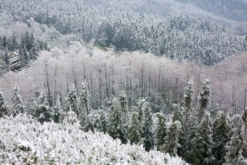 青峰山雪景