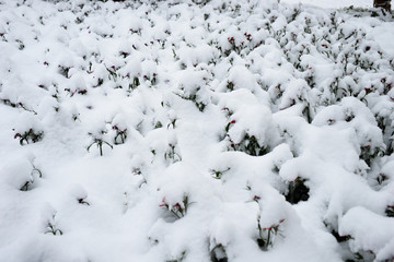 江南雪景素材