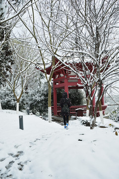 江南景雪