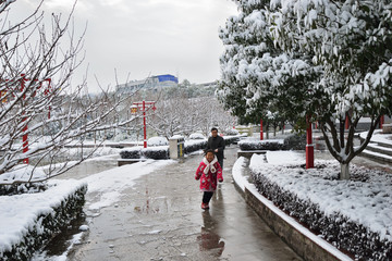 江南雪景