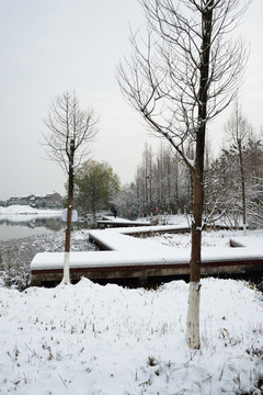 江南雪景