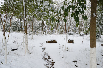 江南雪景