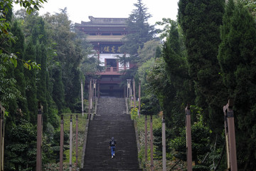 万卷楼