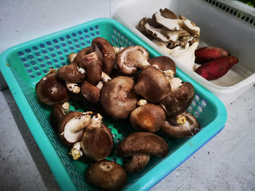食材