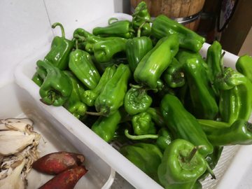 食材