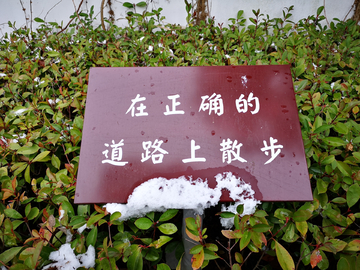 随拍