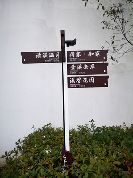 随拍