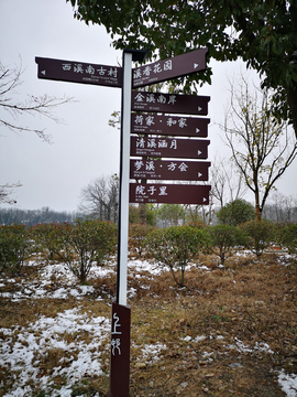 随拍