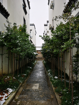 雪景