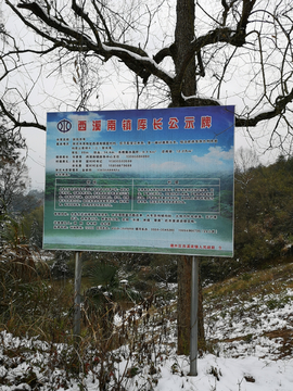 随拍