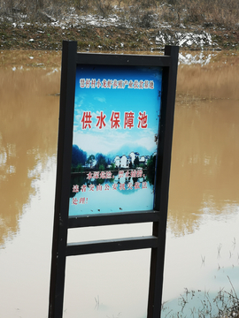 随拍