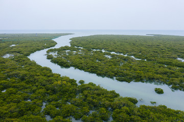 北海红树林景区