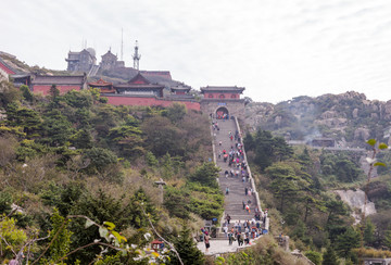 山东泰山