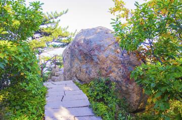 千山小黄山景区山顶鳌鱼石与松枝