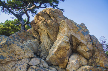 千山小黄山景区御览峰与松树