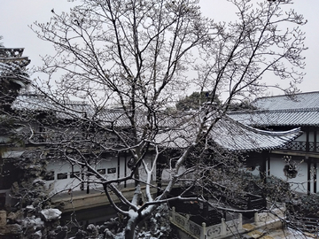 何园 雪中观景