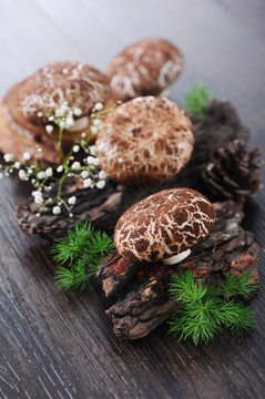 象形蘑菇包