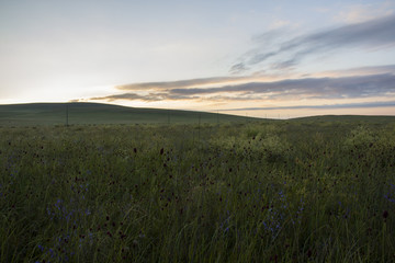 草原之晨