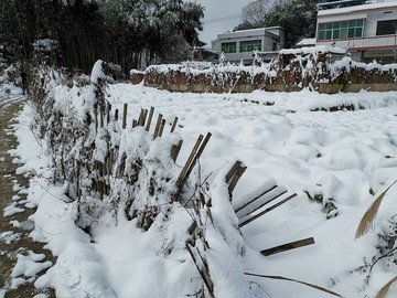 雪地风光