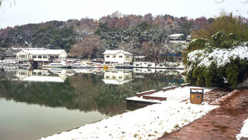 白茫茫雪景