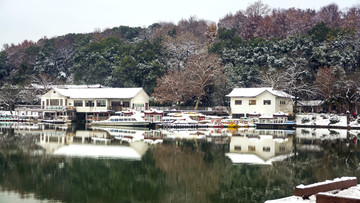 白茫茫雪景