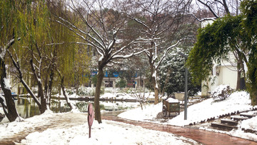 白茫茫雪景