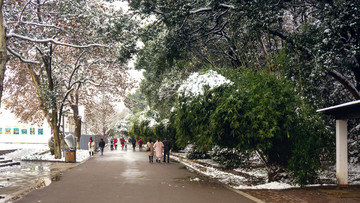 白茫茫雪景