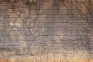 青砖墙上的树影