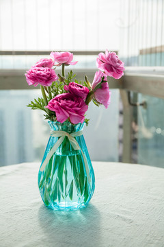 粉色花毛茛与蓝色花瓶特写