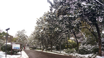 公园雪景