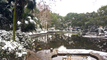 公园雪景