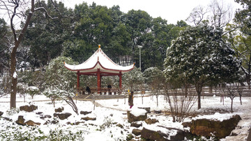 公园雪景