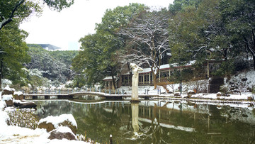 公园雪景