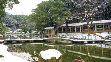 公园雪景