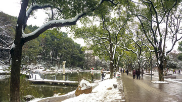 公园雪景