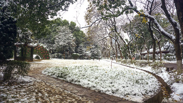 公园雪景