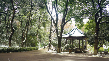 粉妆玉砌