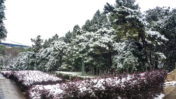 皑皑雪景