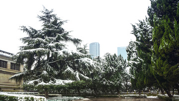 皑皑雪景