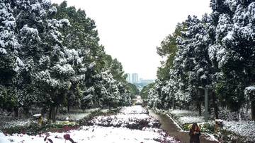 皑皑雪景