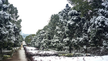 皑皑雪景