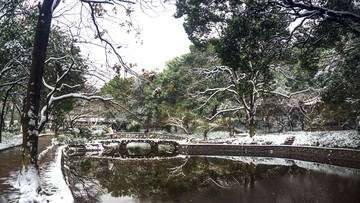 皑皑雪景