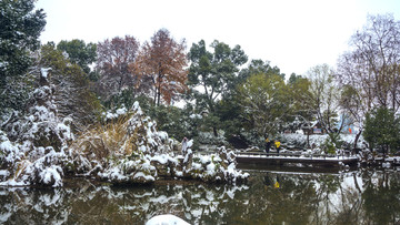 深冬雪景