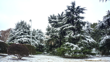 公园雪景