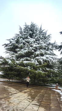 公园雪景