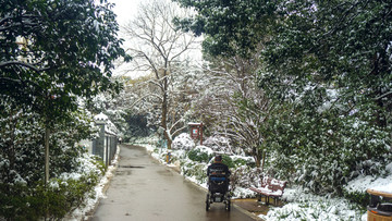 白雪皑皑